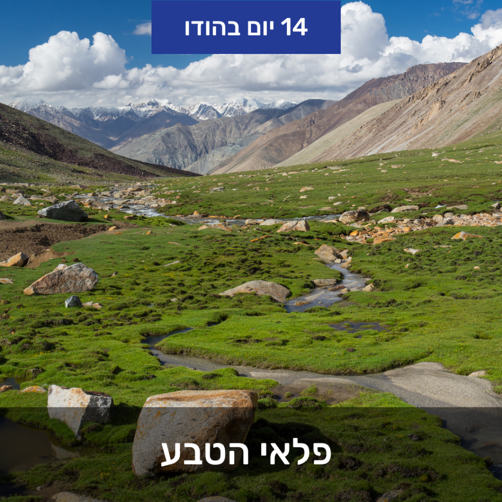 טיול להודו לנוסע העצמאי