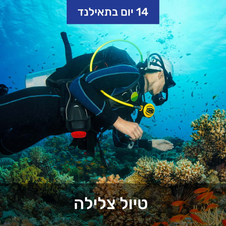 מסלול הרפתקאות וטבע