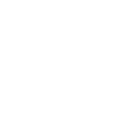 root (1)