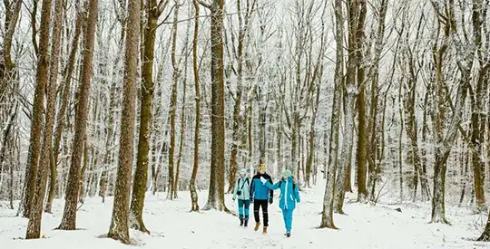 Kumano Kodo WINTER יום 6