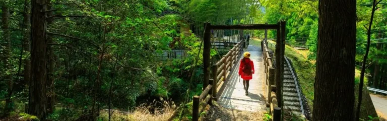 קומאנו קודו Kumano Kodo