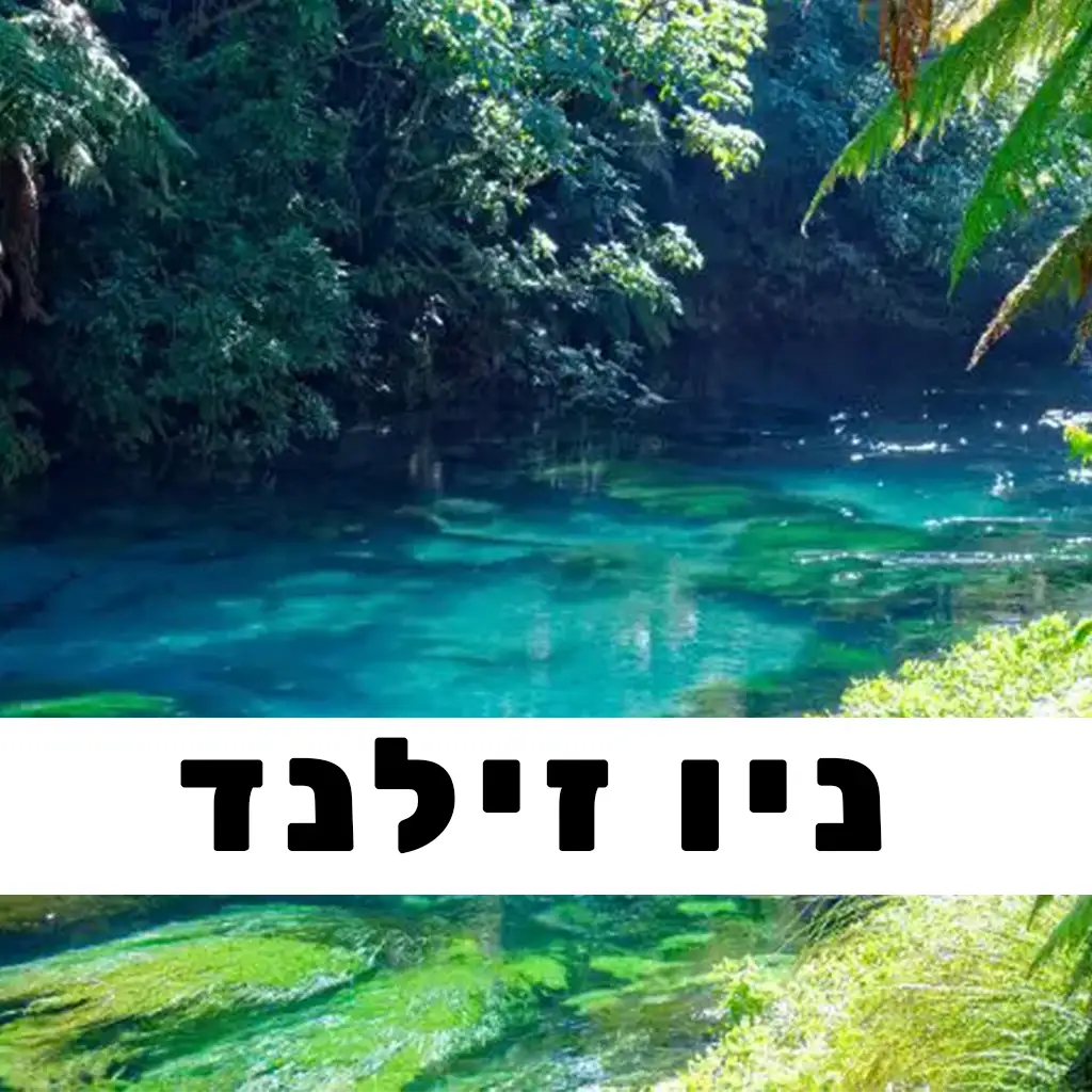 ניו זילנד